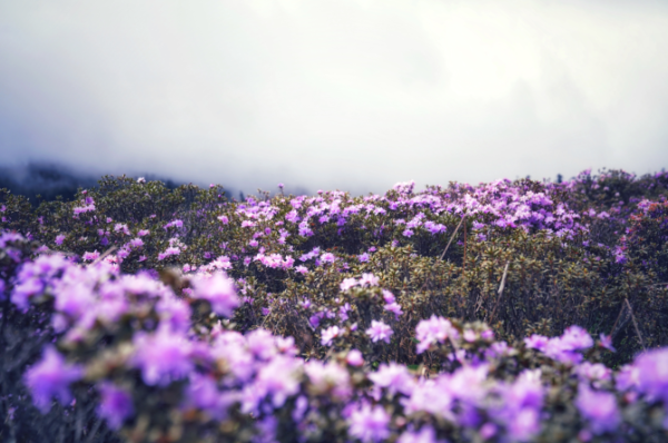 1075365_670x670 1075365_670x670