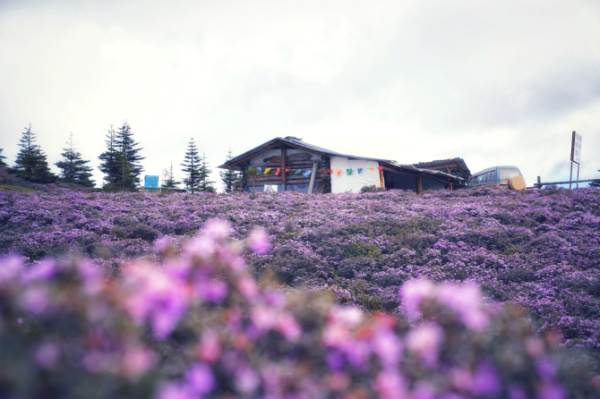 1075367_670x670 1075367_670x670