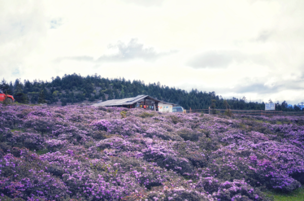 1075368_670x670 1075368_670x670