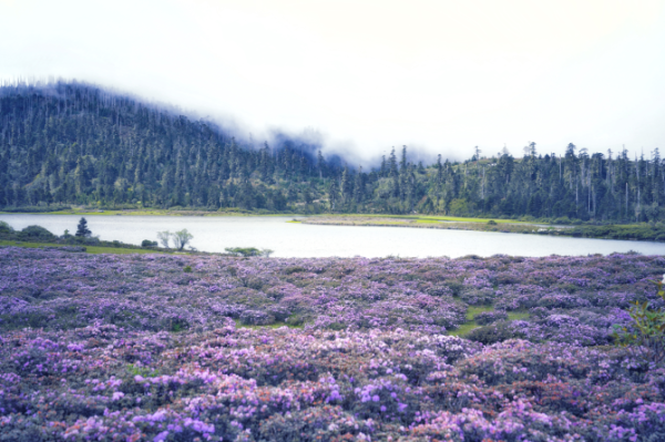 1075369_670x670 1075369_670x670