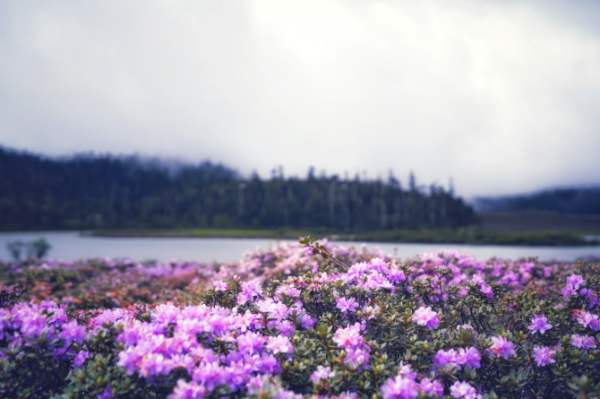 1075370_670x670 1075370_670x670