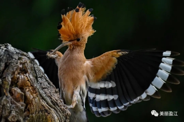 1074686_670x670 1074686_670x670