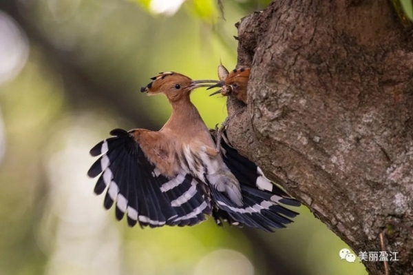 1074687_670x670 1074687_670x670