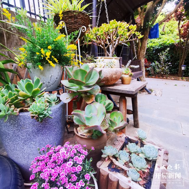 1087878_2048x2048 1087878_2048x2048