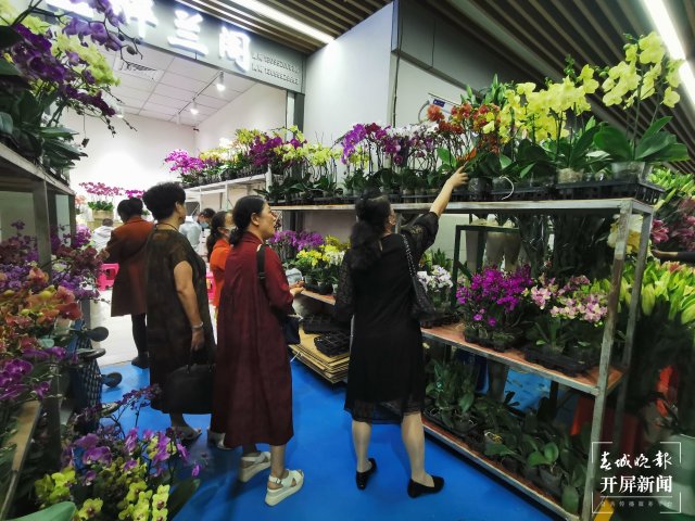 1087880_2048x2048 1087880_2048x2048