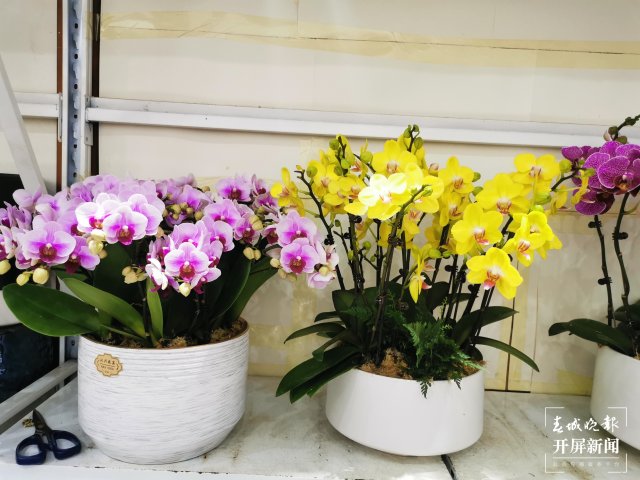 1087881_2048x2048 1087881_2048x2048