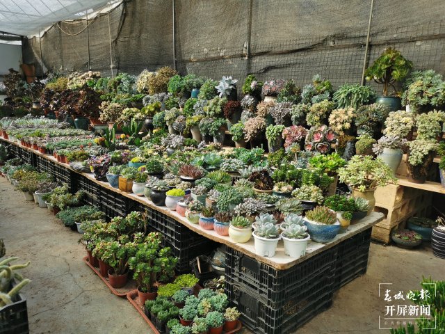 1087882_2048x2048 1087882_2048x2048