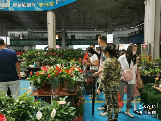 1087884_2048x2048 1087884_2048x2048