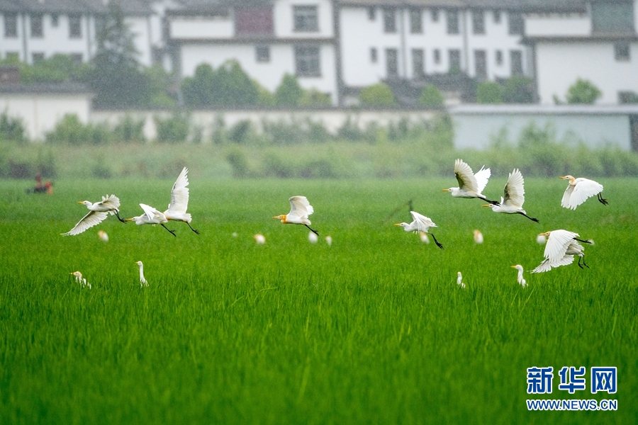 1101769_2048x2048 1101769_2048x2048