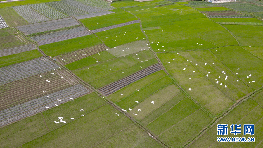 1101772_2048x2048 1101772_2048x2048