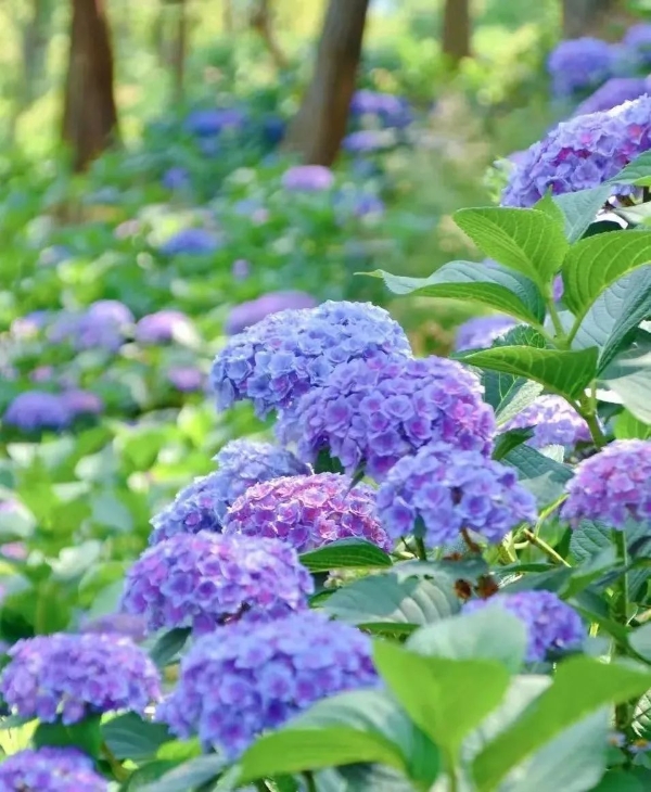 1101840_2048x2048 1101840_2048x2048