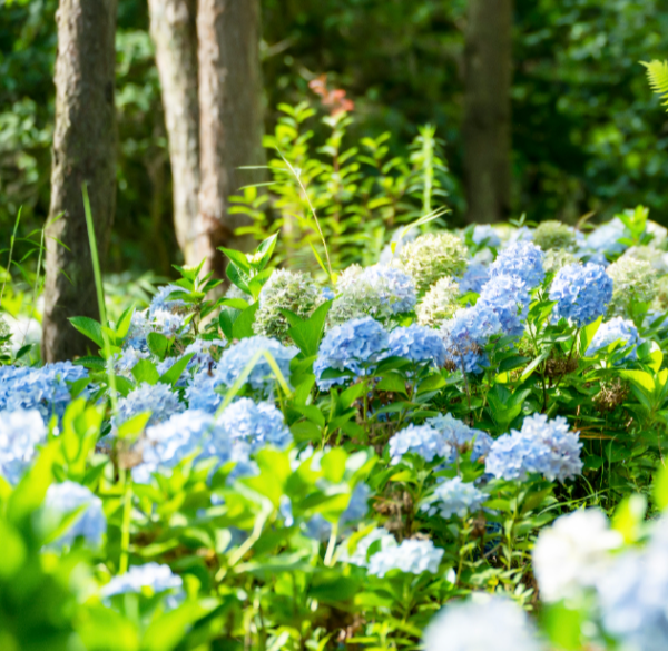 1101841_2048x2048 1101841_2048x2048