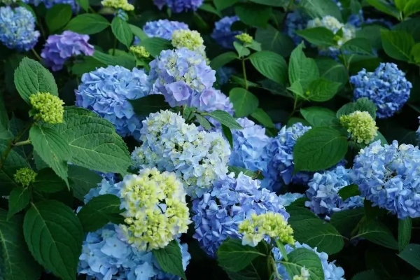 1101843_2048x2048 1101843_2048x2048