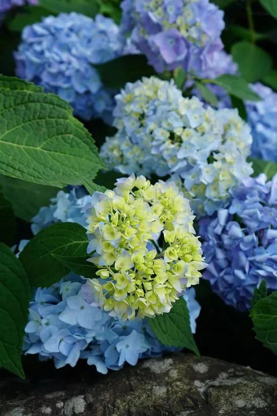 1101844_2048x2048 1101844_2048x2048