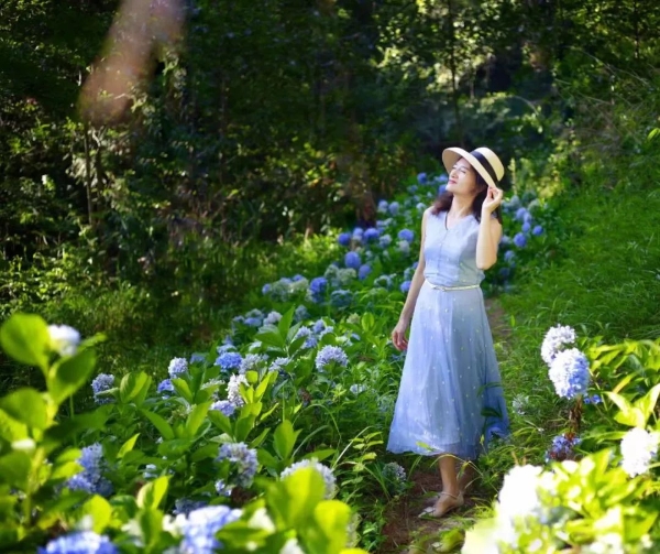 1101845_2048x2048 1101845_2048x2048