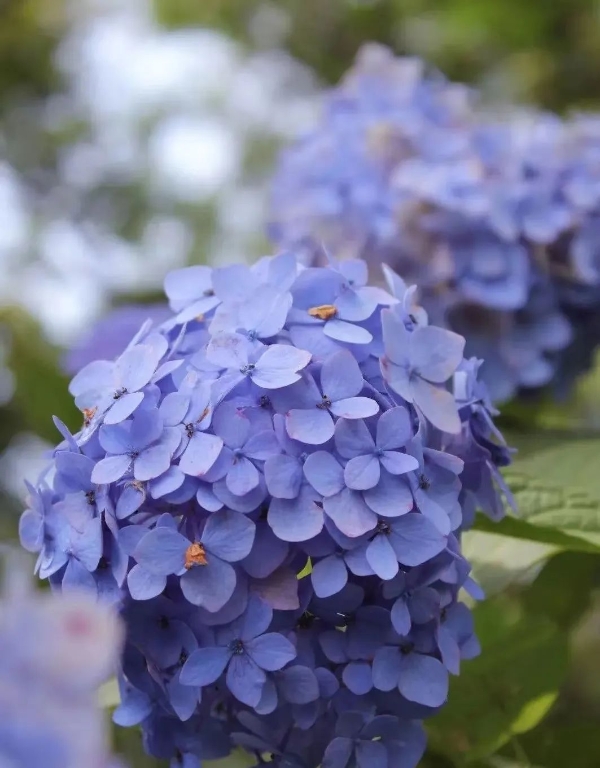 1101846_2048x2048 1101846_2048x2048