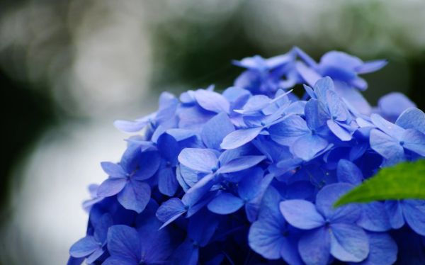 1101847_2048x2048 1101847_2048x2048