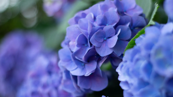 1101848_2048x2048 1101848_2048x2048