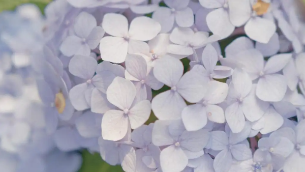 1101851_2048x2048 1101851_2048x2048