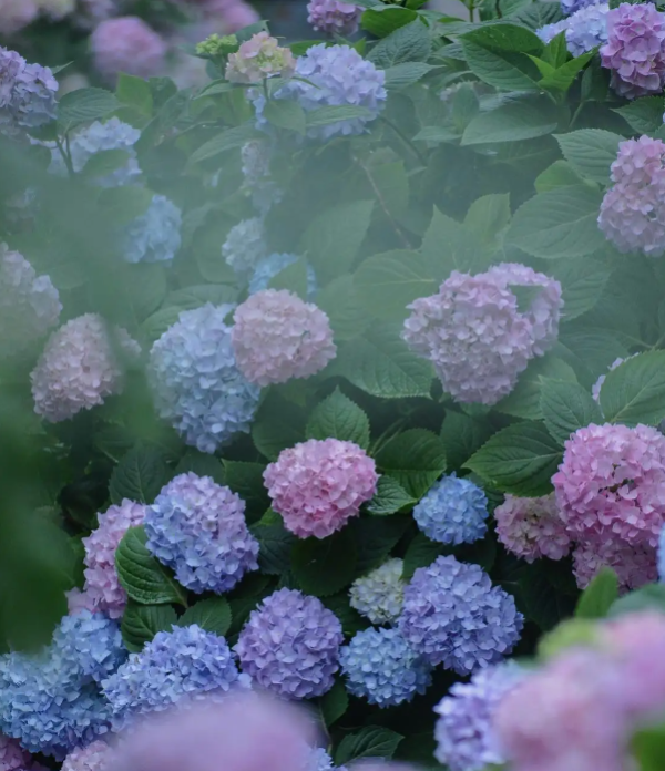 1101853_2048x2048 1101853_2048x2048