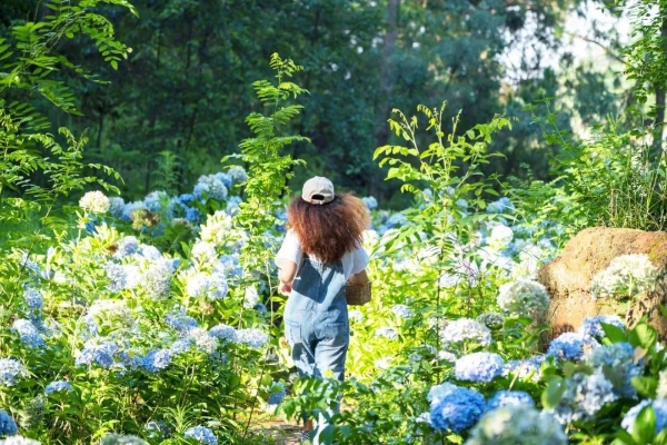 1101854_2048x2048 1101854_2048x2048