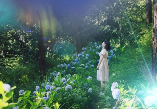 1101855_2048x2048 1101855_2048x2048