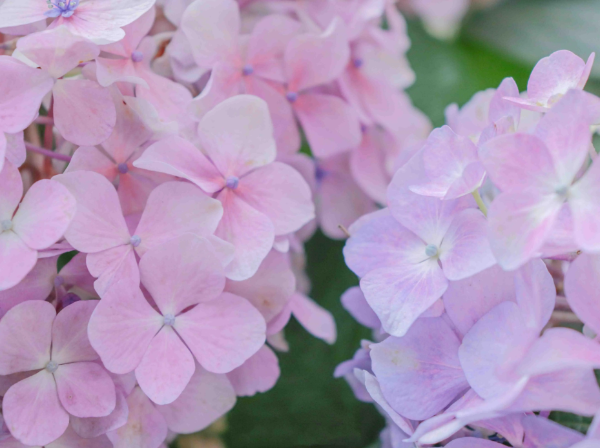 1101856_2048x2048 1101856_2048x2048