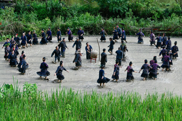 62ce479fa310fd2bec960533 62ce479fa310fd2bec960533