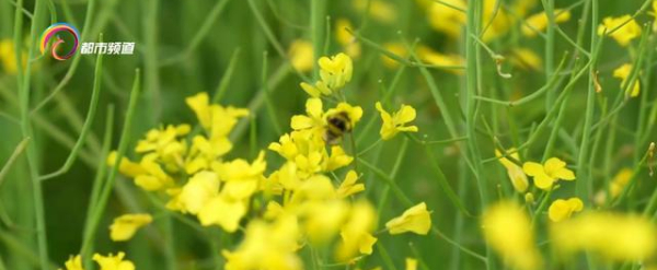 微信图片_20220714104509