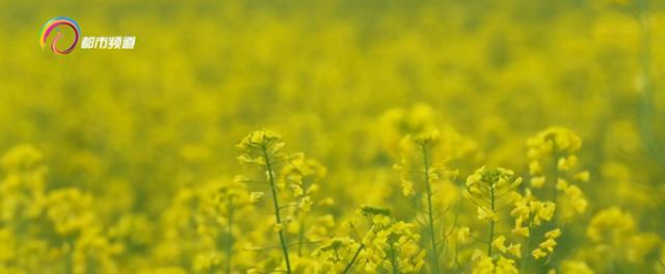 微信图片_20220714104513