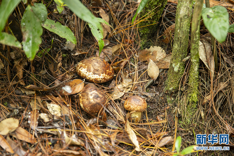 1310648158_16592338782641n