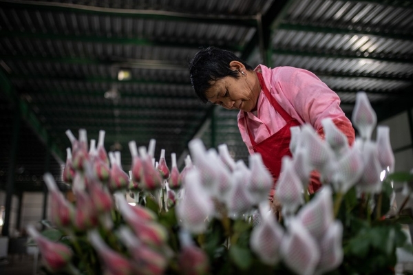 20220819a72fdf6444c84250a678356d66392a68_4209a607-613d-4444-a033-aac7f5d0e6ed