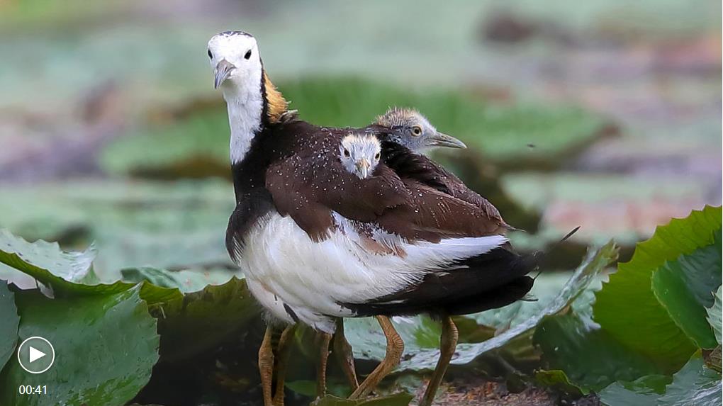 微信图片_20220902111815