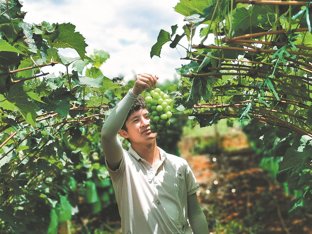 6333a9f4a310fd2beca3e8a1 6333a9f4a310fd2beca3e8a1