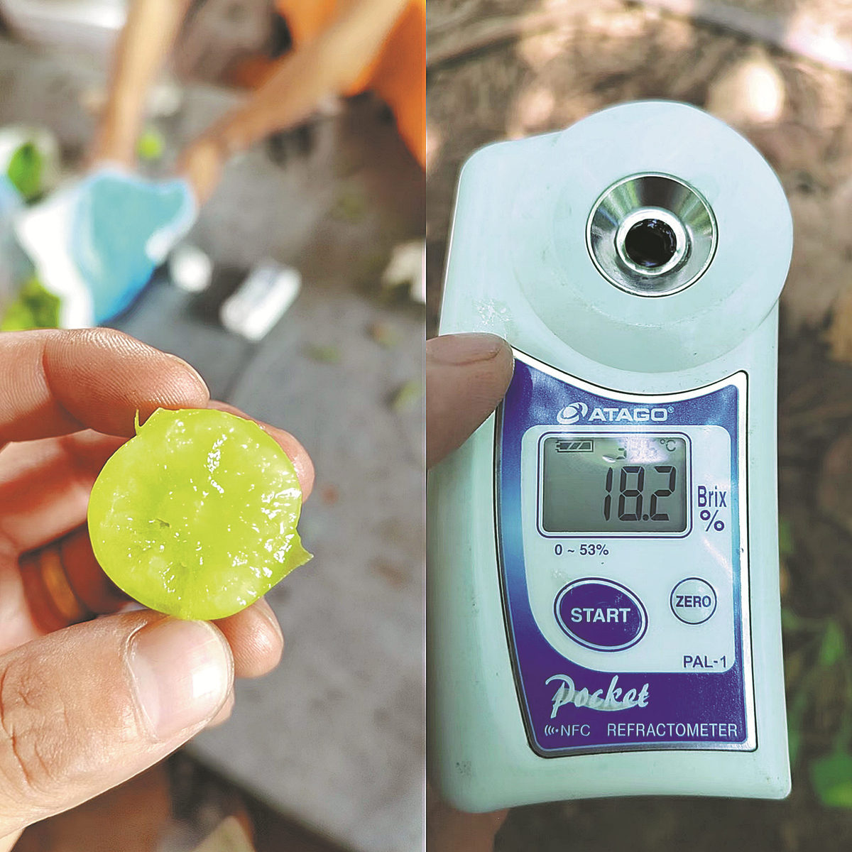 6333a9f4a310fd2beca3e8a4 6333a9f4a310fd2beca3e8a4