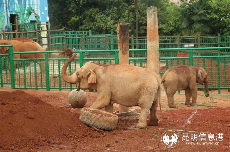 1186659_2048x2048 1186659_2048x2048