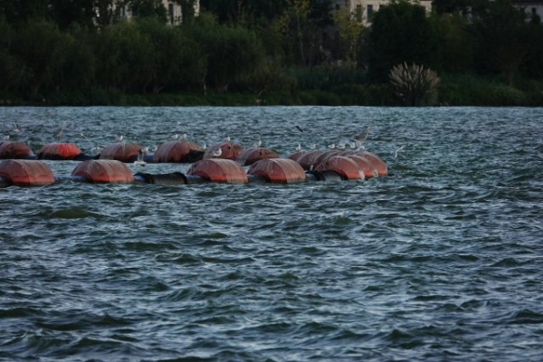 1192918_2048x2048 1192918_2048x2048