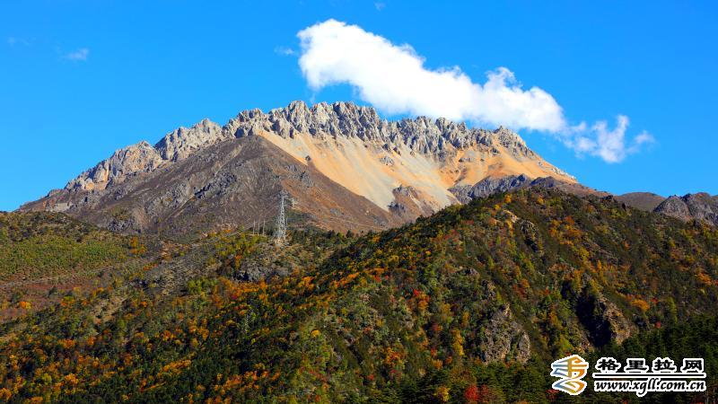 1203030_2048x2048 1203030_2048x2048