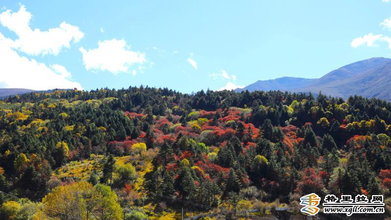 1203031_2048x2048 1203031_2048x2048