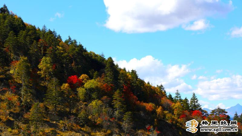 1203032_2048x2048 1203032_2048x2048