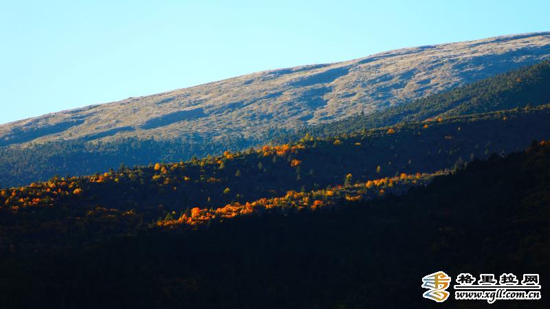 1203033_2048x2048 1203033_2048x2048