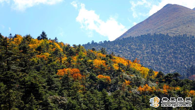 1203035_2048x2048 1203035_2048x2048