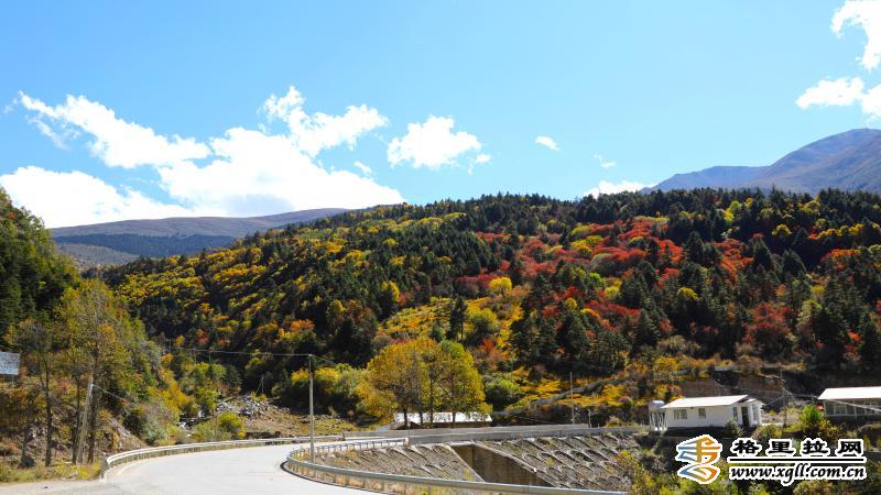 1203036_2048x2048 1203036_2048x2048