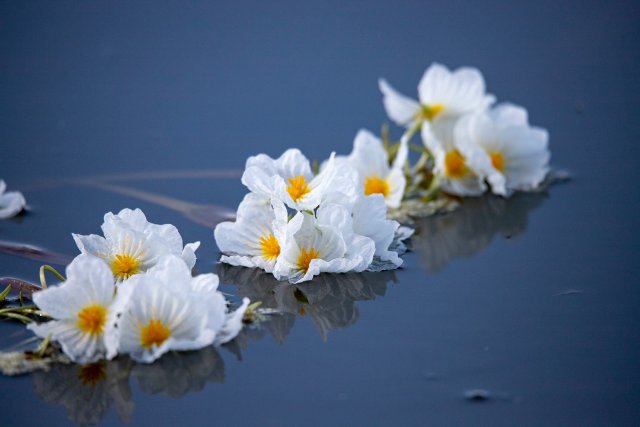 1209318_2048x2048 1209318_2048x2048