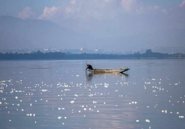 1209319_2048x2048 1209319_2048x2048