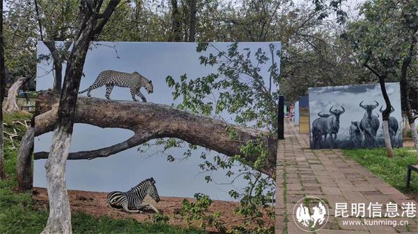 mmexport1667050793483(1)