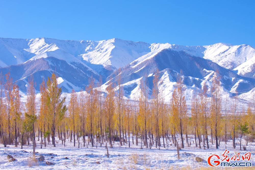 Xinjiang: What a fairyland! Xinjiang: What a fairyland!