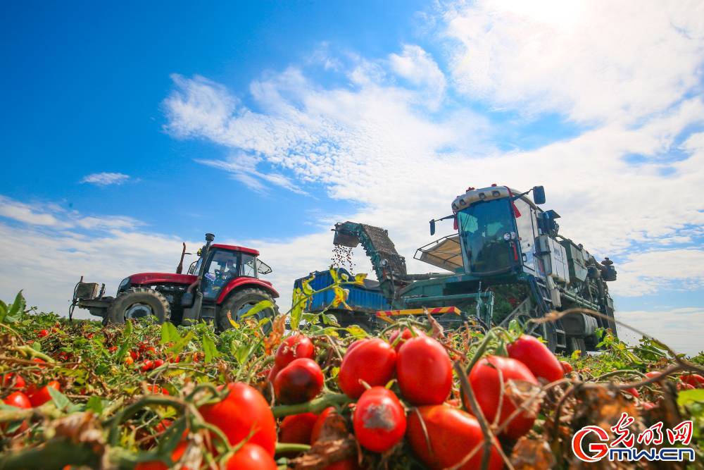 Xinjiang: What a fairyland! Xinjiang: What a fairyland!