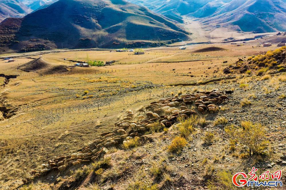 Xinjiang: What a fairyland! Xinjiang: What a fairyland!