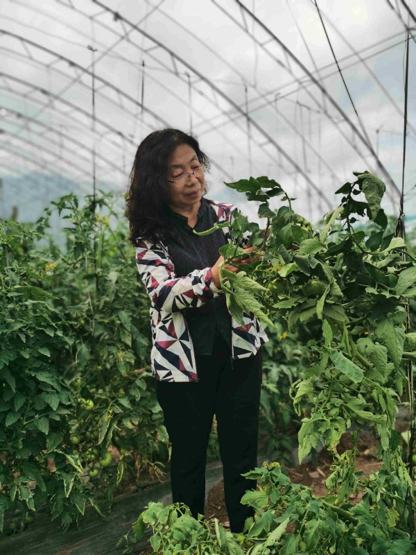 637ec181a31049178c92aaf8